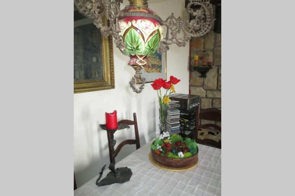 Villa Kornelija Stari Slankamen Esterno foto
