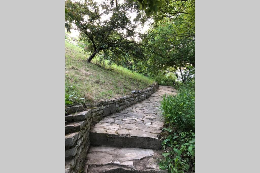 Villa Kornelija Stari Slankamen Esterno foto