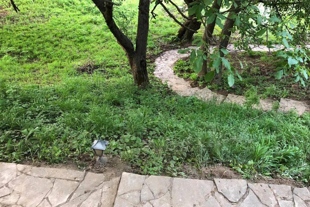 Villa Kornelija Stari Slankamen Esterno foto