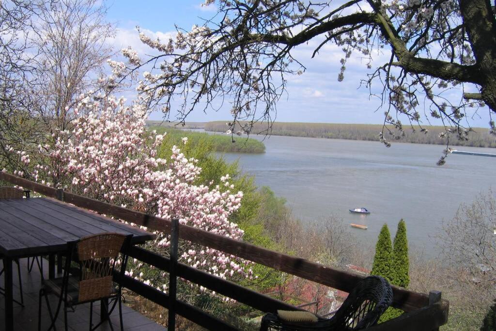 Villa Kornelija Stari Slankamen Esterno foto