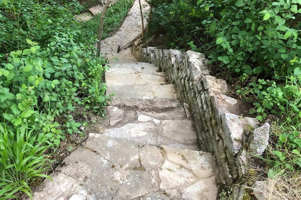 Villa Kornelija Stari Slankamen Esterno foto