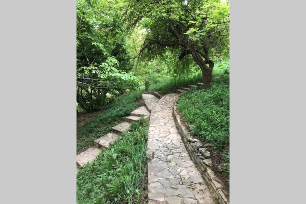 Villa Kornelija Stari Slankamen Esterno foto