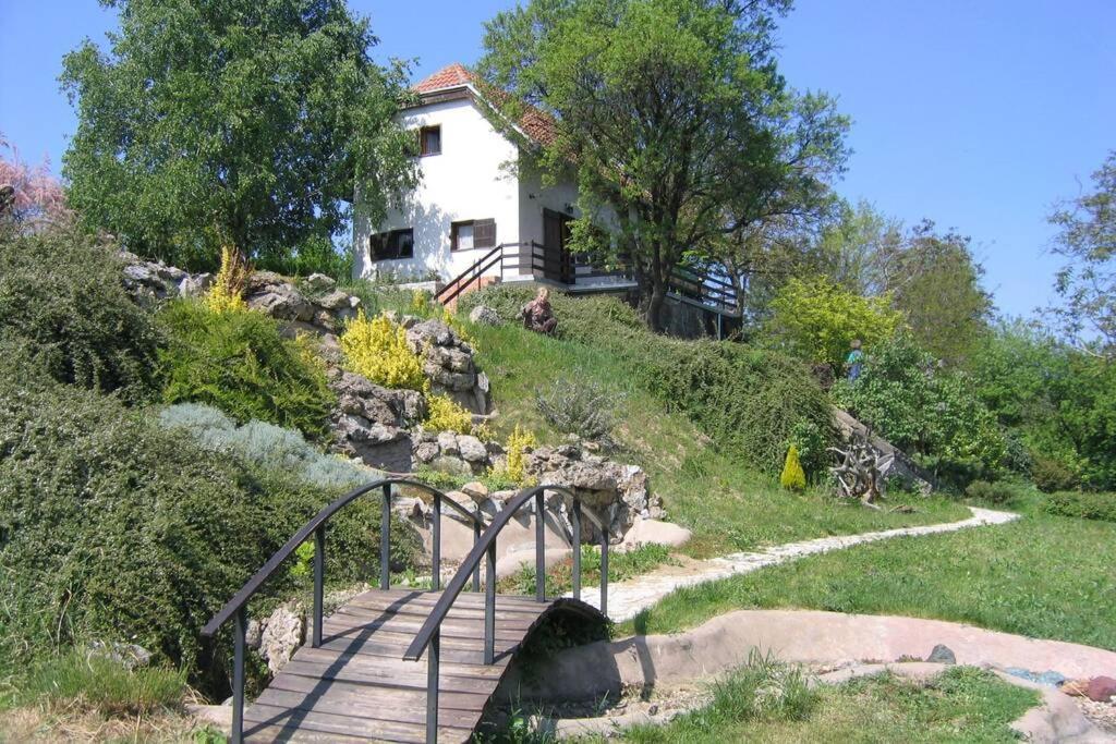 Villa Kornelija Stari Slankamen Esterno foto
