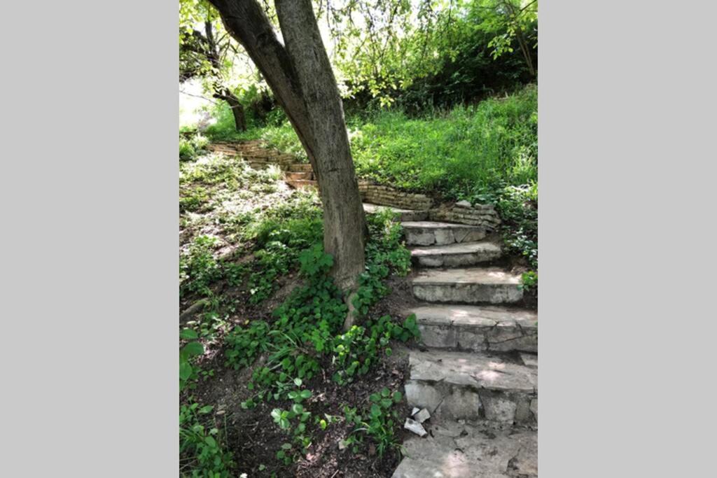 Villa Kornelija Stari Slankamen Esterno foto