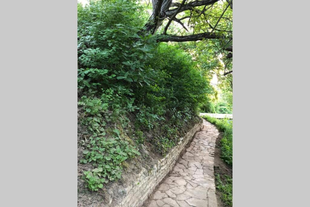 Villa Kornelija Stari Slankamen Esterno foto