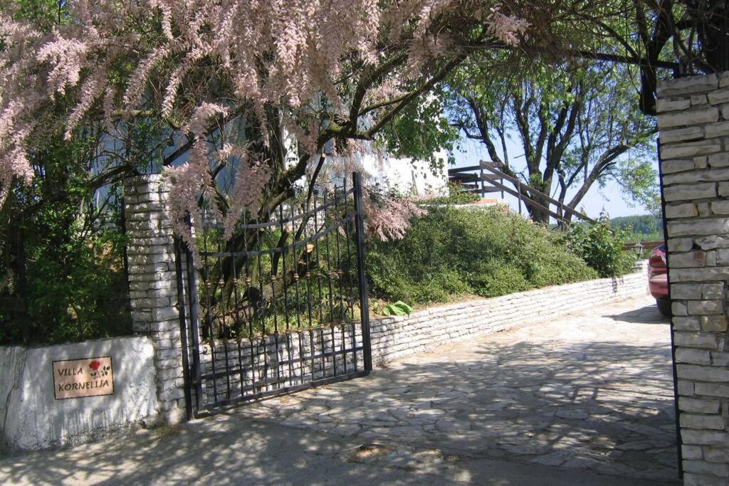 Villa Kornelija Stari Slankamen Esterno foto