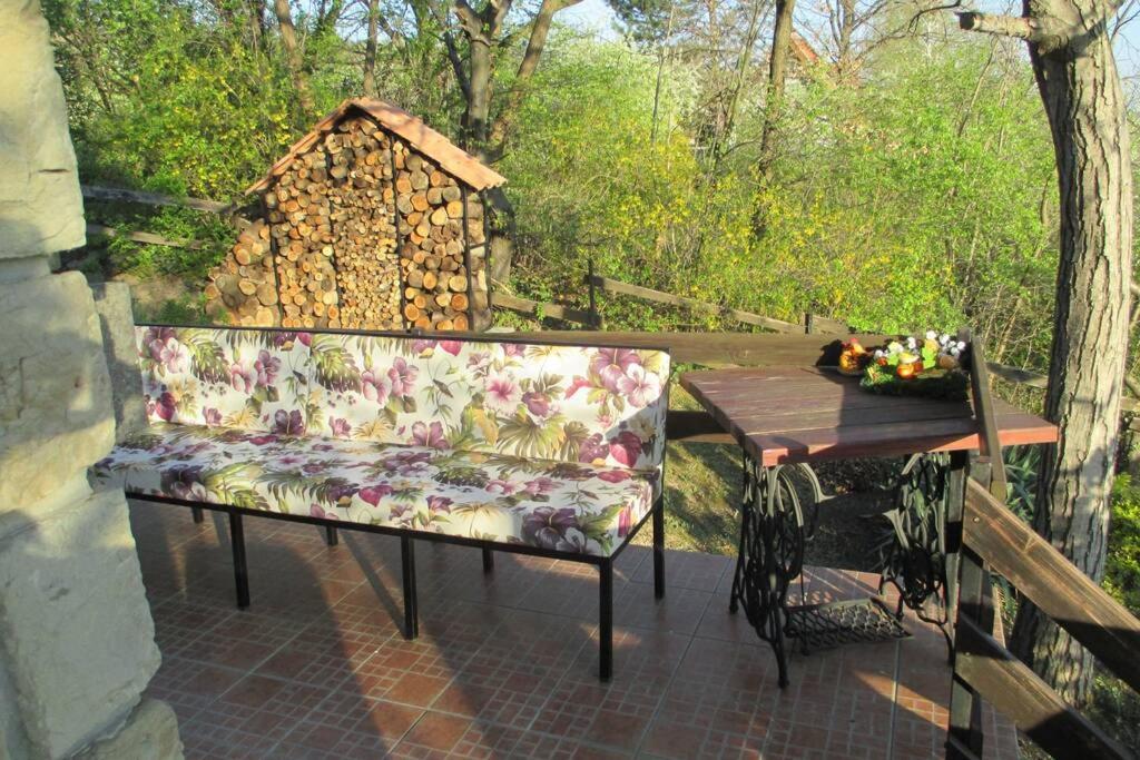 Villa Kornelija Stari Slankamen Esterno foto