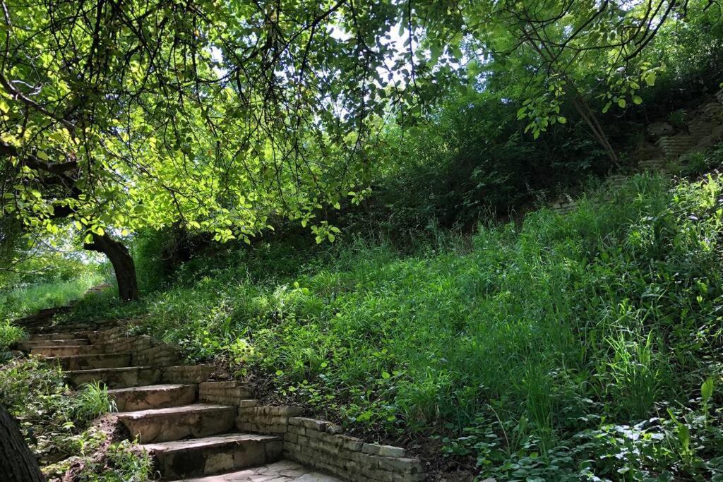 Villa Kornelija Stari Slankamen Esterno foto